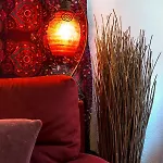 Piccolo - Cozy In The Heart Of Authentic *